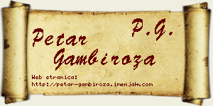 Petar Gambiroža vizit kartica